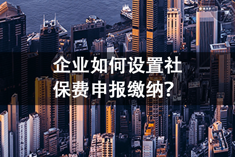 企业如何设置社保费申报缴纳？