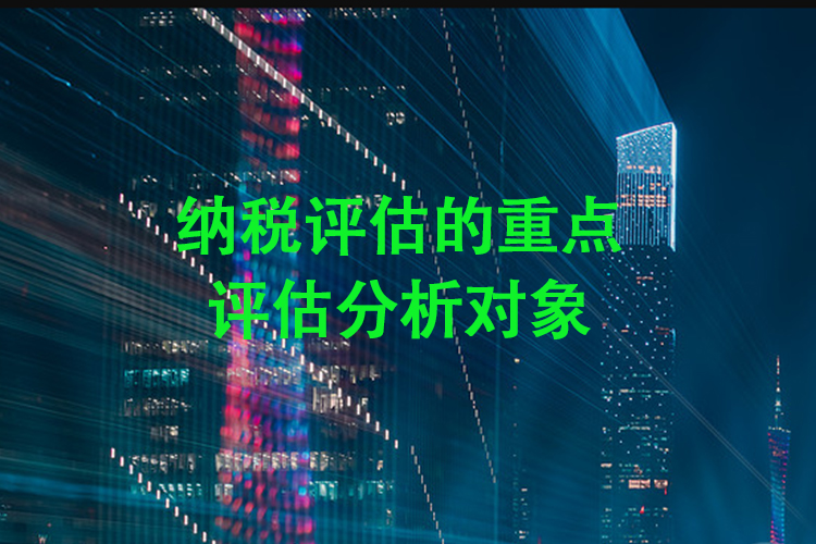 纳税评估的重点评估分析对象